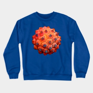 Orange Tree Seed Crewneck Sweatshirt